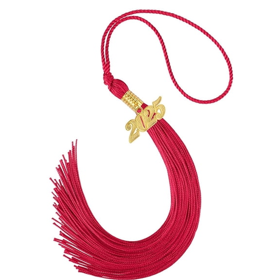 YIGSECU 2025 Graduation Tassels Graduation Hat Decoration Tassels For Class of 2025 Graduation Graduates and Photography