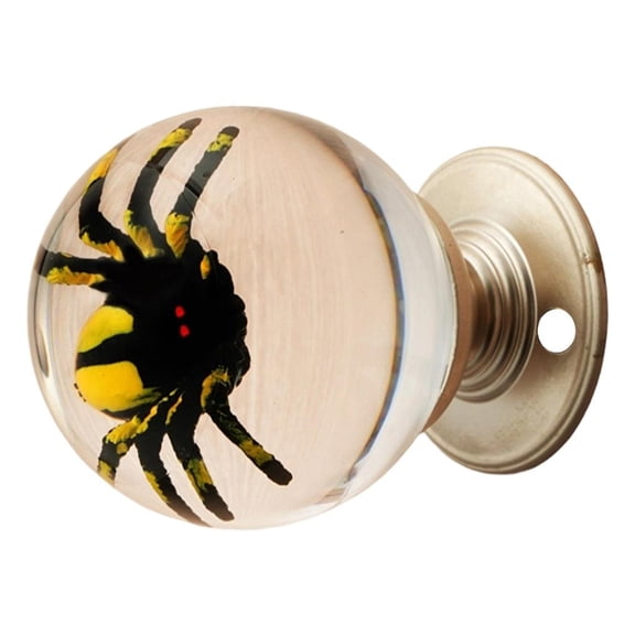 YIGSECU Elegant Insect Crystal Balls Door Knob for Stylish Home Decoration Upgraded