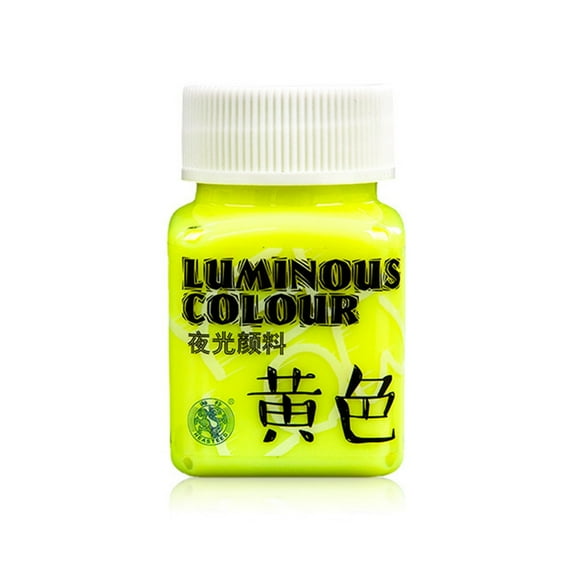 YIGZYCN Outdoor Acrylic Paint Glow in the Dark Paint Art Supplies for Rock Outdoor