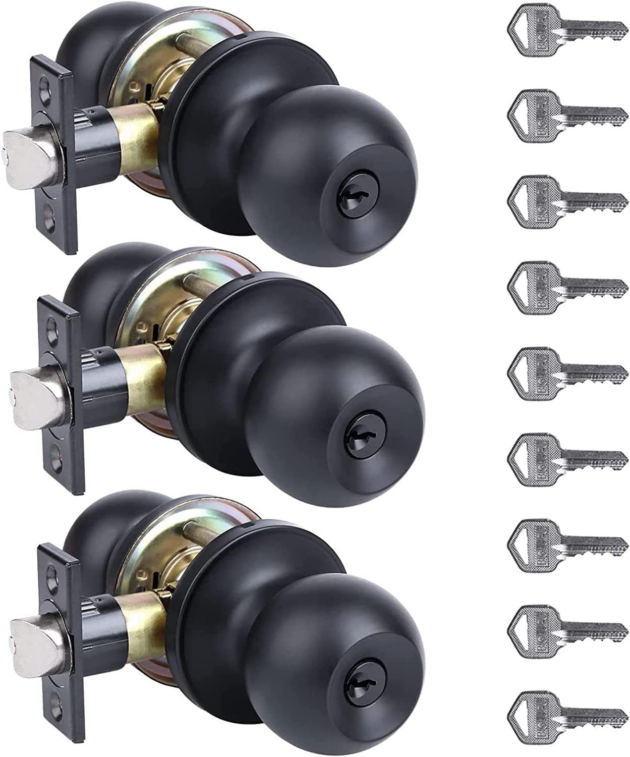 Lokhaus (2 Pack Keyed Alike Door Locks) Tulip Entry Doorknob Satin