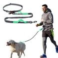 thumbnail image 1 of YIHATA Hands Free Dog Leash for Running Walking Training Hiking, Adjustable Waist Belt, Shock Absorbing, Ideal for Medium to Large Dogs(Green Grey ), 1 of 8