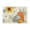 thumbnail image 1 of YIKA Pumpkin Fall Placemats 1 Piece 12x18 Inch Fall Thanksgiving Harvests Vintage Table Mats For Party Catering Decorations B, 1 of 6