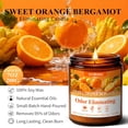 thumbnail image 1 of YILOSF-Sweet Orange Bergamot Odor Eliminating Candles | Eliminates 95% of Pet, Smoke & Bathroom Odors \u2013 7oz Hand Poured Non-Toxic Soy Candle - Air Freshing Scented Candle Gifts for Positive & Re, 1 of 4