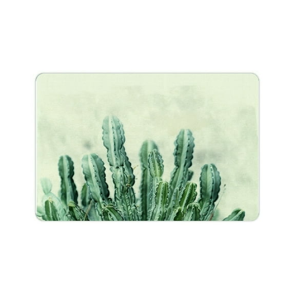 YILUYINQING Cactus Green Plant Diatom Mud Bath Mat Home Decor Quick Drying Rubber Backed 24x16in