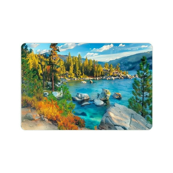 YILUYINQING Diatom Mud Mats Non-Slip Mountain Trees Rocks Home 24x16in