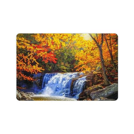 YILUYINQING Fast Absorption Diatom Mud Waterfall Trees Rocks Home Bath Rug Mat 24x16in