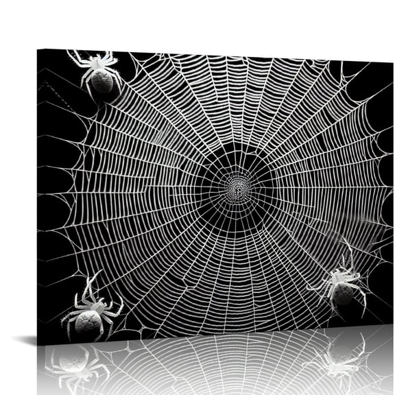 YILUYINQING Spider Webs Canvas Prints Wall Art Decor for Bedroom Kitchen, Modern Ready To Hang Room Home Decor 16x12in