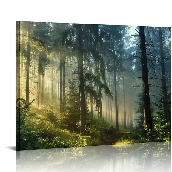 YILUYINQING Sunlight Through Trees Canvas Wall Art Print Ready To Hang 16x12in