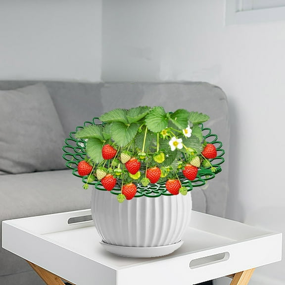YIMWNYI 10Pcs Strawberry Rack Planting Rack, Strawberry Supports, Adjustable Strawberry Plant Support, Plastic Strawberry Growing Racks, Garden Plant Stands for Vegetables, Tomatoes, and Melons
