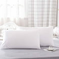 thumbnail image 1 of YIMWNYI 2Pcs Pillow Core Isolation Covers, Breathable Oil-Proof Polyester Pillowcase, Soft and Comfortable, Absorbent, Eco-Friendly Hotel Protective Covers for Household Use, 1 of 6