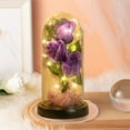 thumbnail image 1 of YIMWNYI LED Plastic Rose with Wooden Base, Colorful Galaxy Rose, Perfect Gift for Valentine's Day, Wedding, Anniversary, Birthday, Mother's Day, 1 of 6