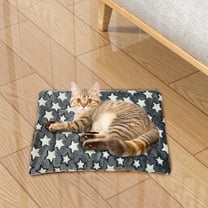 YIMWNYI Thickened Cushion Floor Mat, Portable Winter Mat for Home, Soft and Warm Bedroom & Living Room Rug, Non-Slip Mat for Indoor Comfort, Practical Plush Mat for Family Use
