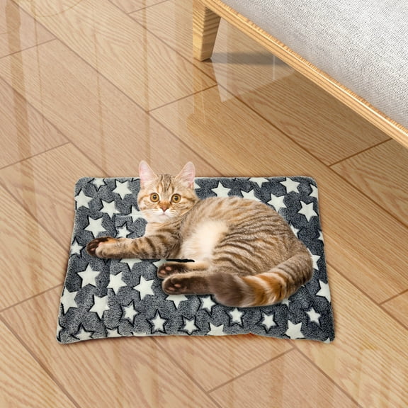 YIMWNYI Thickened Cushion Floor Mat, Portable Winter Mat for Home, Soft and Warm Bedroom & Living Room Rug, Non-Slip Mat for Indoor Comfort, Practical Plush Mat for Family Use