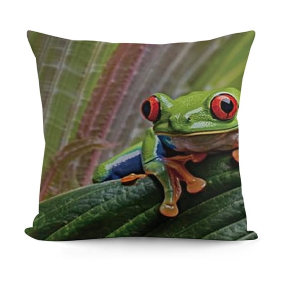 YINGXI Animal Throw Pillow Cushion Cover, Red Eyed Tree Frog Hiding in Exotic Macro Leaf in Costa Rica Rainforest Tropical Nature, Decorative Square Accent Pillow Case,Green Vermilion 24x24in