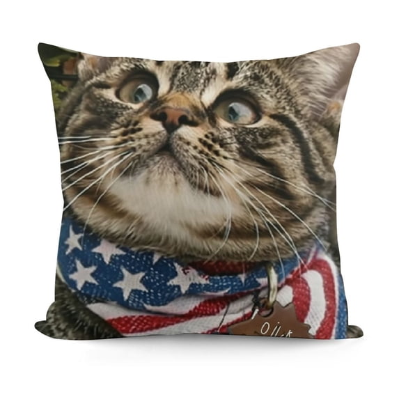YINGXI Cat Decorative Throw Pillow Cover, Patio Outdoor Pillowcase, Sofa Cushion Case Home Decor 12x12in