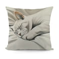 thumbnail image 1 of YINGXI  Cat Throw Pillow Covers Animal Painting Pillow Cases Pet Farmhouse Decorative Cushion Covers for Sofa Couch 18x18in, 1 of 5