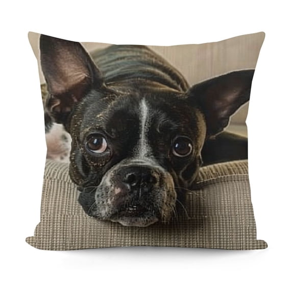 YINGXI Cute Various Pet Dogs Human Friends Boston Terrier Throw Pillow Covers Cushion Cover Decorative Sofa Bedroom Living Room Square 12x12in