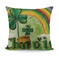 thumbnail image 1 of YINGXI Decorative Throw Pillow Covers, Cushion Case Decor, Pinch Me Charm Irish Holiday Home Decoration for Sofa Couch 20x20in, 1 of 5