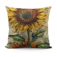 thumbnail image 1 of YINGXI Decorative Throw , ，for and （） 20x20in, 1 of 5