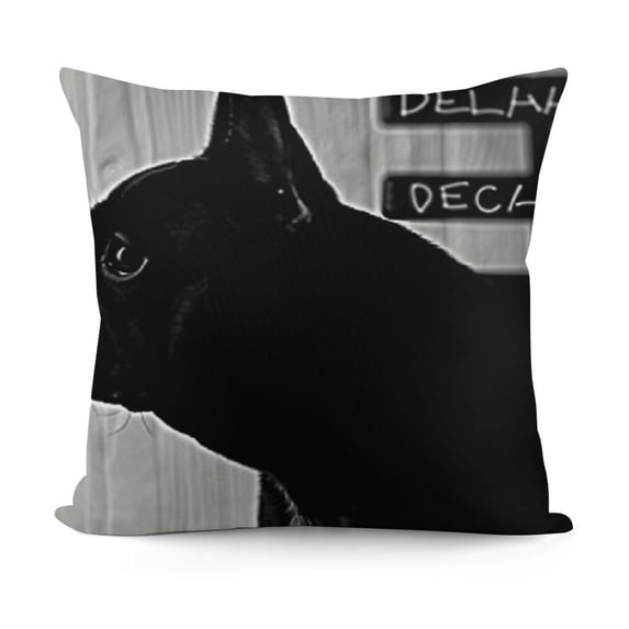 YINGXI Dog Themed It's Not Dog Hair It's Decorative Throw Pillow Case For Home Living Room Sofa Couch Bed Decor, Women 20x20in