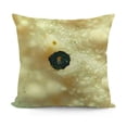 thumbnail image 1 of YINGXI  Funny Food Saltine Cracker Realistic Print Pillow Covers Decorative Throw Pillowcase  24x24in, 1 of 5