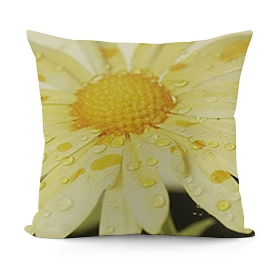 YINGXI Home Sweet Home Spring Summer Flowers Yellow Throw Pillow Covers,Blue Cushion Case for Sofa Couch 20x20in