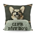 thumbnail image 1 of YINGXI It's Not Dog Hair It's Glitter Throw Pillow Case, Dog Lovers Gifts, Lovers Gifts, Funny Decor, Gifts for , Mom, Cushion Cover for Sofa Couch 22x22in, 1 of 5