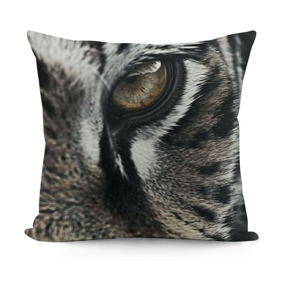 YINGXI Pillow Cases African Wild Lion Face Portrait,Decorative Throw Pillow Covers for Couch Bedroom Living for Girl Boy 24x24in