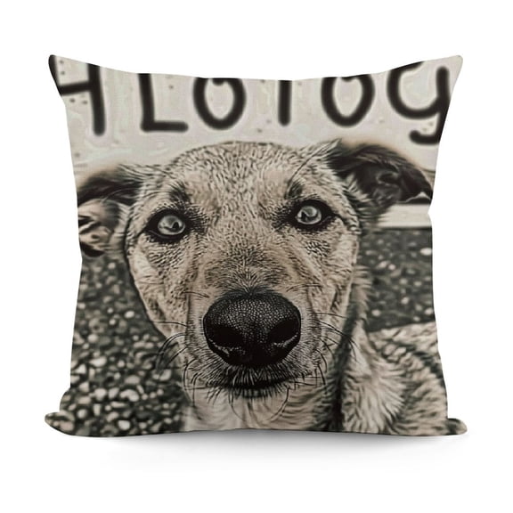 YINGXI Pillow Covers, ,Italian ,Grayhound Pillow,Reserved for The Dog Pillow 12x12in