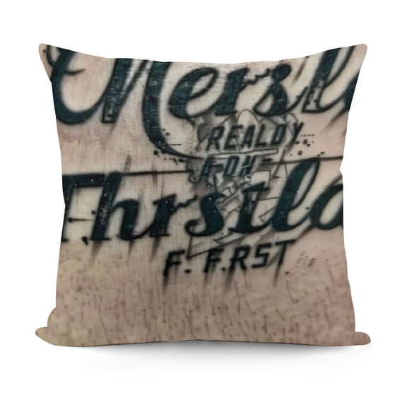 YINGXI Pillow Covers Poultry Feed Sack Farm Pillow Case s) 12x12in