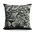 thumbnail image 1 of YINGXI Pillowcases Animal Print Pillow Case Decorative Throw Pillow Cover for Home Sofa Offich 22x22in, 1 of 5