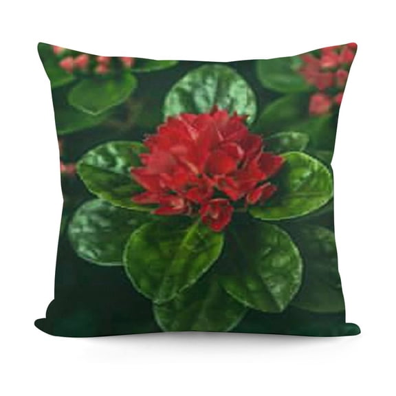 YINGXI Red Geranium Flowers Decor Throw Pillow Covers Summer Plant Potting (Red Geranium) 18x18in