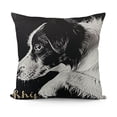 thumbnail image 1 of YINGXI , Reserved for The Dog , Decor, , for Women (Black) 22x22in, 1 of 5
