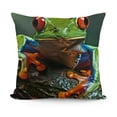 thumbnail image 1 of YINGXI  Throw Pillow Cover Cute Tree Frog Green Wild Animal Home Decor Pillowcase Cushion Cover 18x18in, 1 of 5