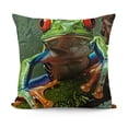 thumbnail image 1 of YINGXI  Throw Pillow Cover Cute Tree Frog Green Wild Animal Home Decor Pillowcase Cushion Cover 20x20in, 1 of 5