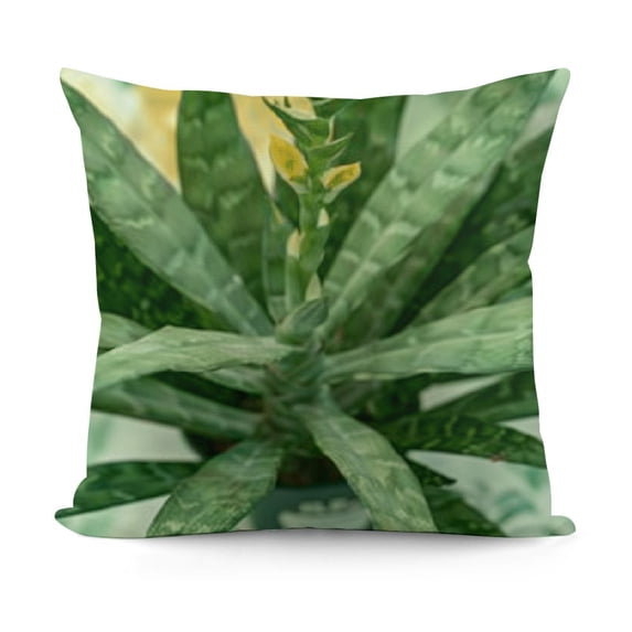 YINGXI Throw Pillow Covers Abstract Art Leaves Pillow Covers Minimalist Geometric for Couch Outdoor Decor 12x12in