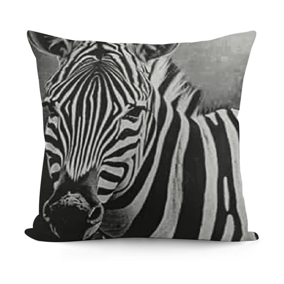 YINGXI Throw Pillow Covers Cute Square Pillowcases for Home Decor Sofa Car Bedroom Black White Stripes Design Dark Background Print Pillow Cases 20x20in