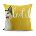 thumbnail image 1 of YINGXI Throw Pillow Covers Furry Yellow Home Decor Pillow Cases Decorative Outdoor Cushion Couch Sofa Pillowcases 22x22in, 1 of 5
