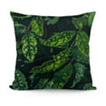 thumbnail image 1 of YINGXI Welcome Fall Withe Plaid with Boxwood Wreath Retro Magnolia Blossom 24x24in, 1 of 5