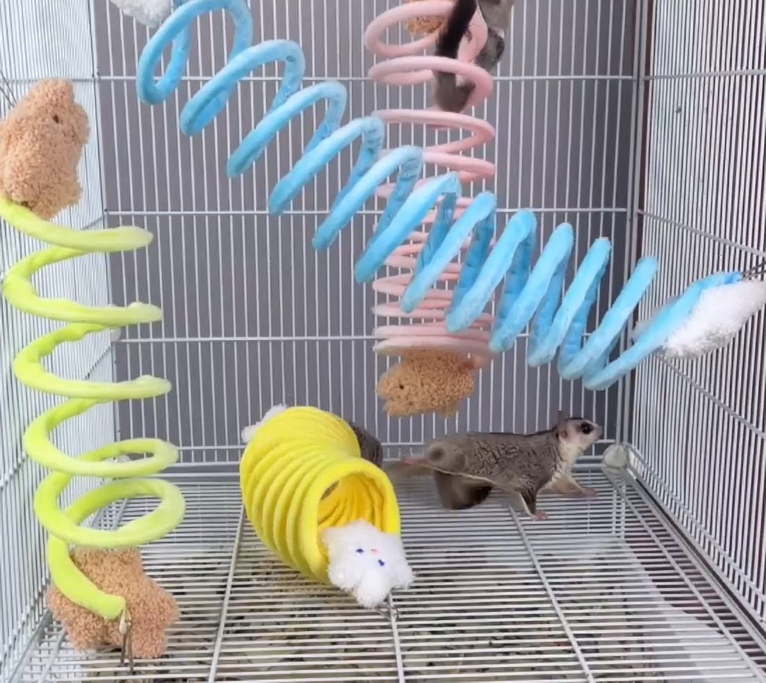 Climbing Sugar Glider Accessories Ferret Cage Accessories