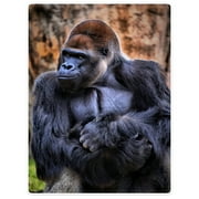 YISUEMI 50x60 inches Blanket Throw Comfort Warmth Soft Plush Throw for Couch Black Orangutan