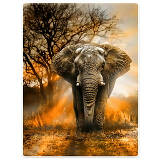Elephant Blanket Flannel Soft Throw Blanket Elephant Gifts for Women Unique  Elephant Lovers Gifts 50×60 Inches 