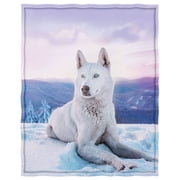 YISUEMI 50x60 inches Blanket Throw Comfort Warmth Soft Plush Throw for Couch Husky Wolf Sky