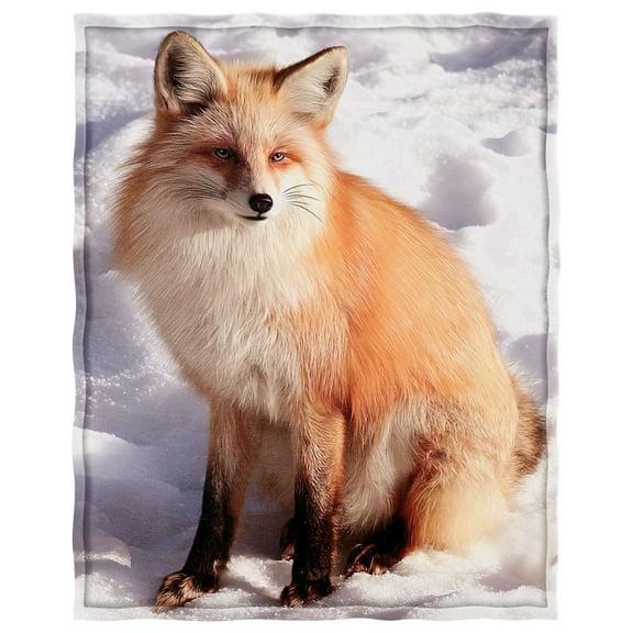 YISUEMI 50x60 inches Blanket Throw Comfort Warmth Soft Plush Throw for Couch Red Fox Animal