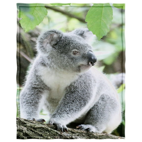 YISUEMI 60x80 inches Blanket Throw Comfort Warmth Soft Plush Throw for Couch Animal Koala Bear