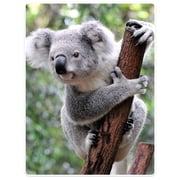YISUEMI 60x80 inches Blanket Throw Comfort Warmth Soft Plush Throw for Couch Gray Koala Bear