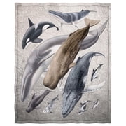 YISUEMI 60x80 inches Blanket Throw Comfort Warmth Soft Plush Throw for Couch RWhales giant sharks dolphins