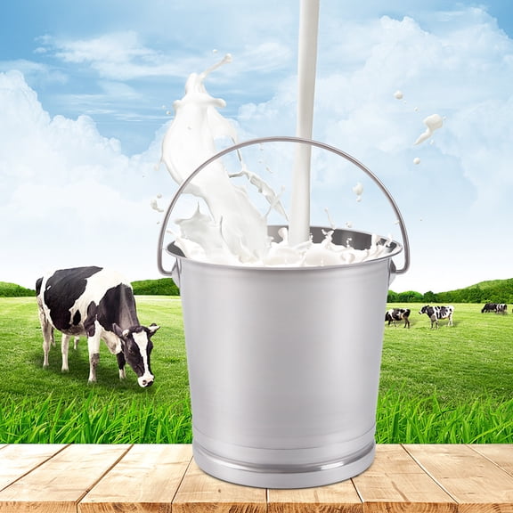 YIYIBYUS 8.5 Qt Stainless Steel Milk Pail Bucket with Lid, Handle, And Open Lip Edge, Also Good for Compost, Silver