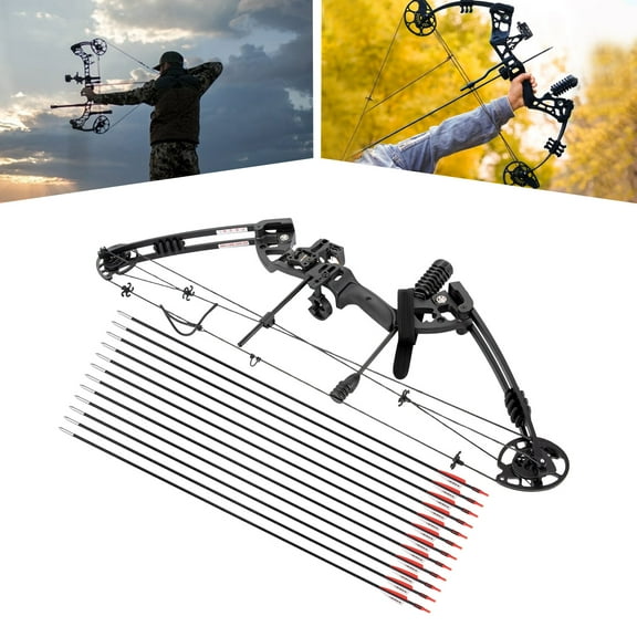 YIYIBYUS Adult Professional Compound Bow 24-29.5in Draw Length Right Hand Hunting Kit with 12 Arrows, Adjustable Draw Weight for Outdoor Competition, Hunting, Training Archery Targets