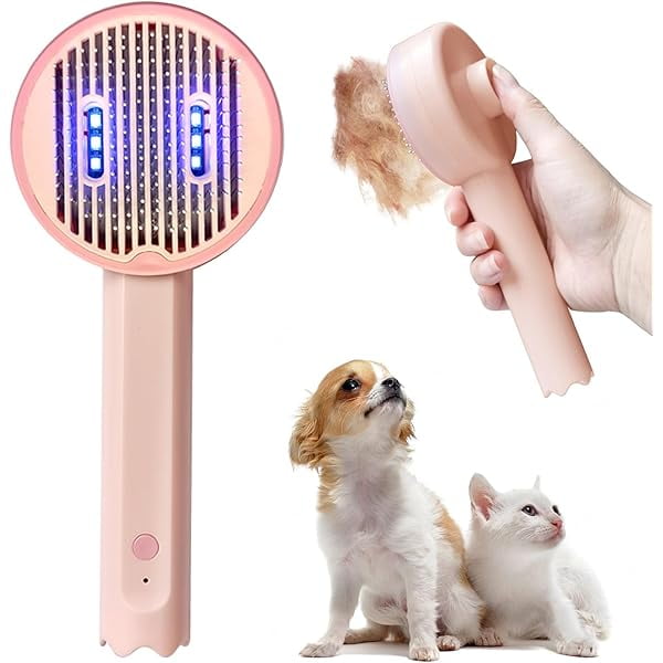 View of How Often Should You Use a Deshedding Tool on Your Cat? Expert Advice